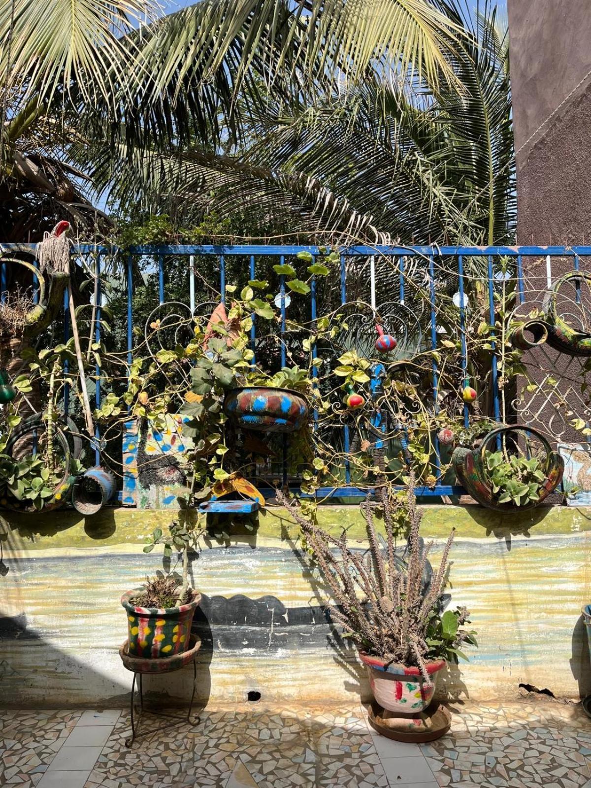 فندق Chez Sofia سانت - لويس المظهر الخارجي الصورة
